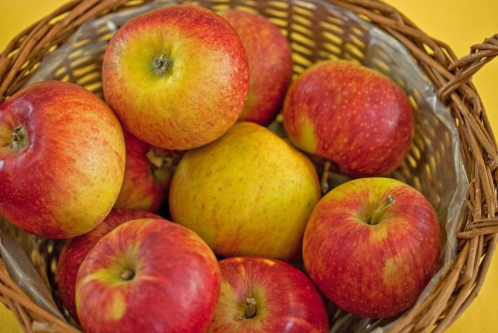 Rheinischer Winterrambur
