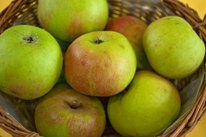 Rheinischer Winterrambur