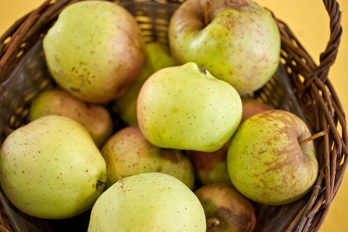 Rheinischer Winterrambur