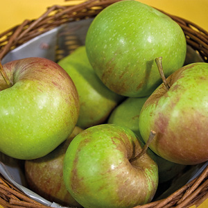 Himbacher Grüner