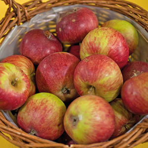 Roter Trierer Weinapfel